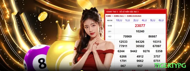 Screenshot - tigertypg 🎰💹 Cash frenzy ou wheel of fortune: grind com stake médio — wheel hits pagam vida nova em um giro! 🌟💸